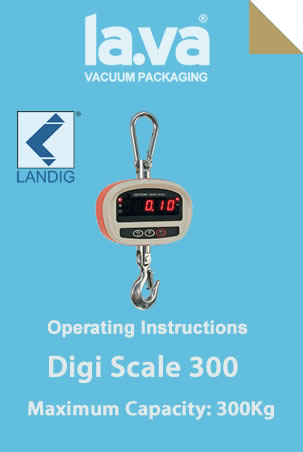 lava digiscale 300 user manual a